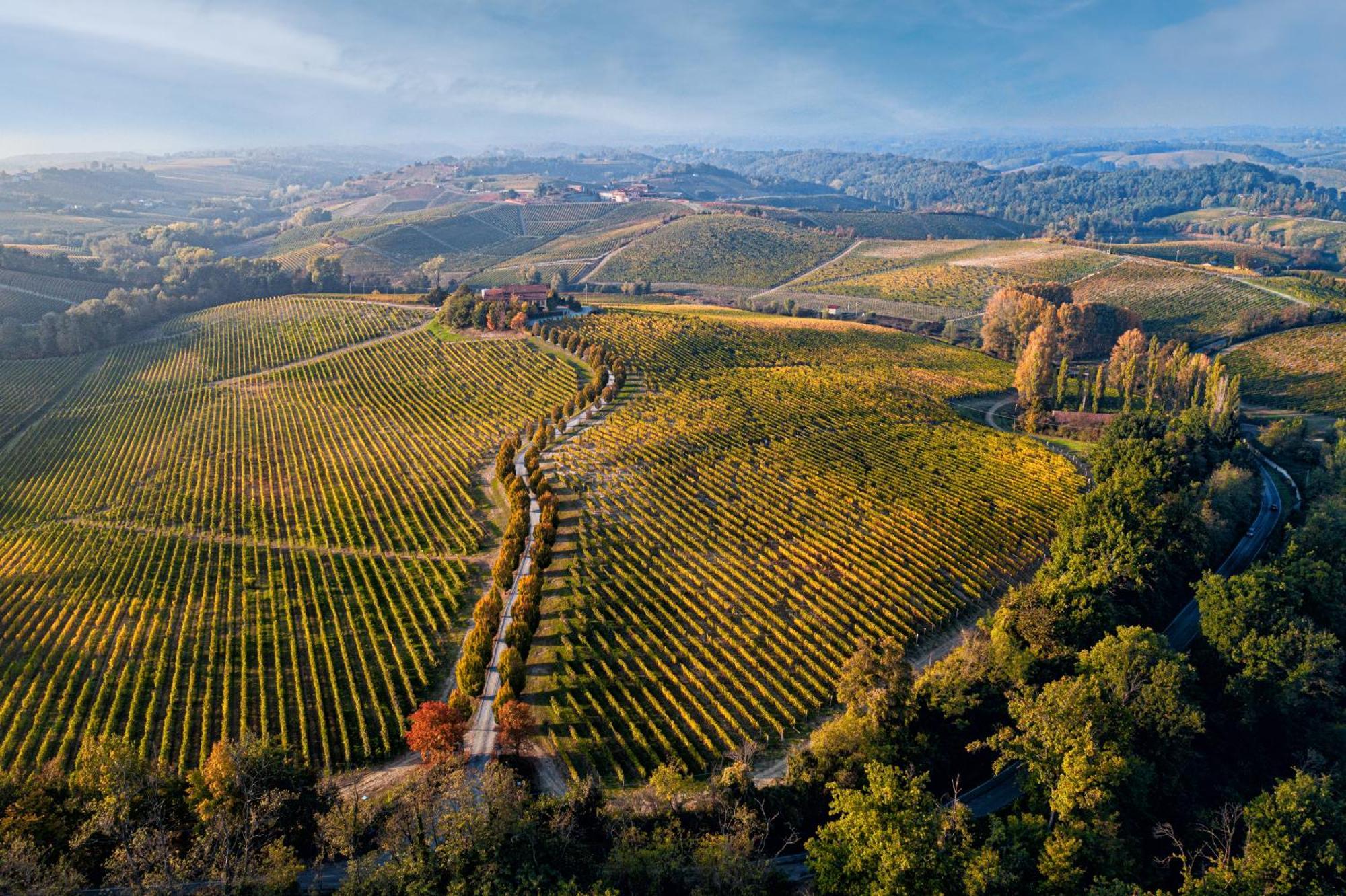 Tenuta La Meirana Gavi Extérieur photo