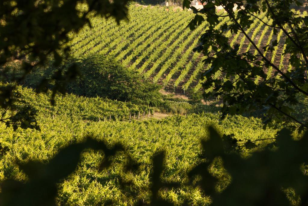 Tenuta La Meirana Gavi Extérieur photo